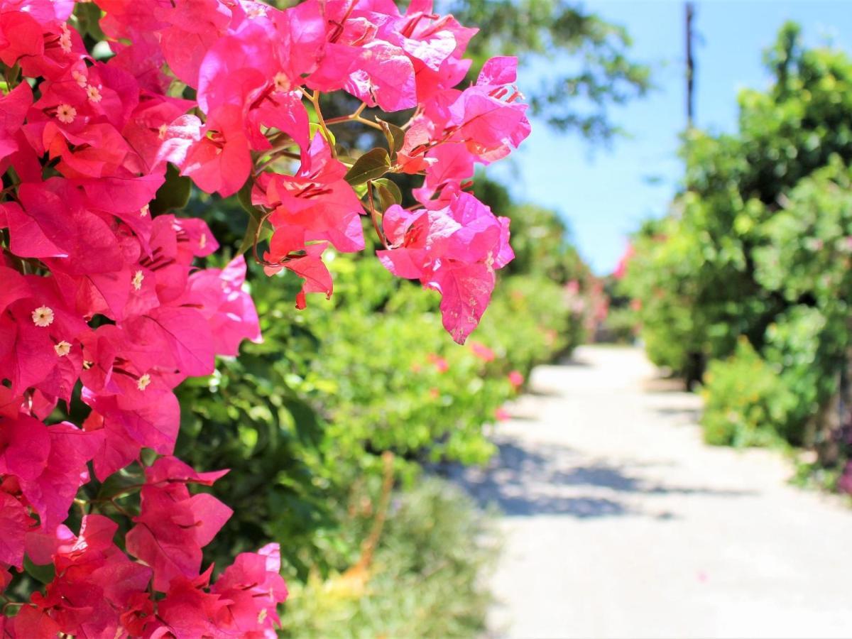 The Avance Hotel Ishigakijima - Vacation Stay 85735V Ishigaki  Екстер'єр фото